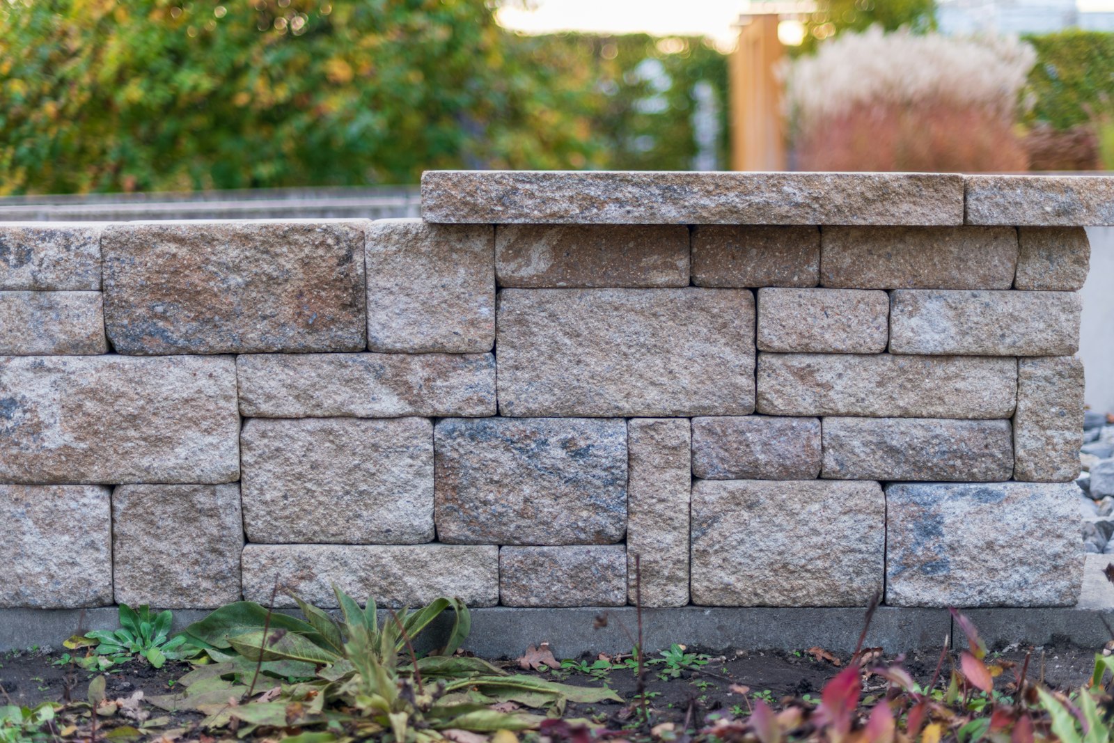 Natursteinmauer mit Bepflanzung im Garten
